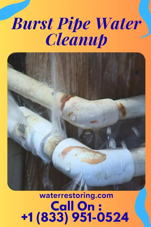 Burst Pipe Water Cleanup in Wanakah, NY