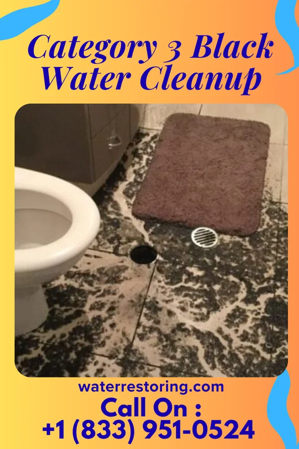 Category 3 Black Water Cleanup in Wanakah, NY