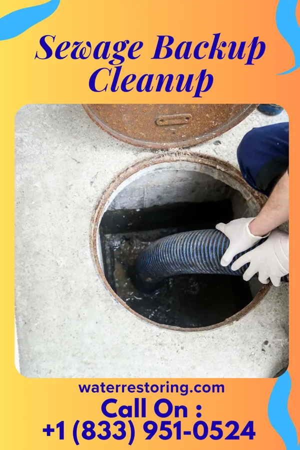 Sewage Backup Cleanup in Wanakah, NY