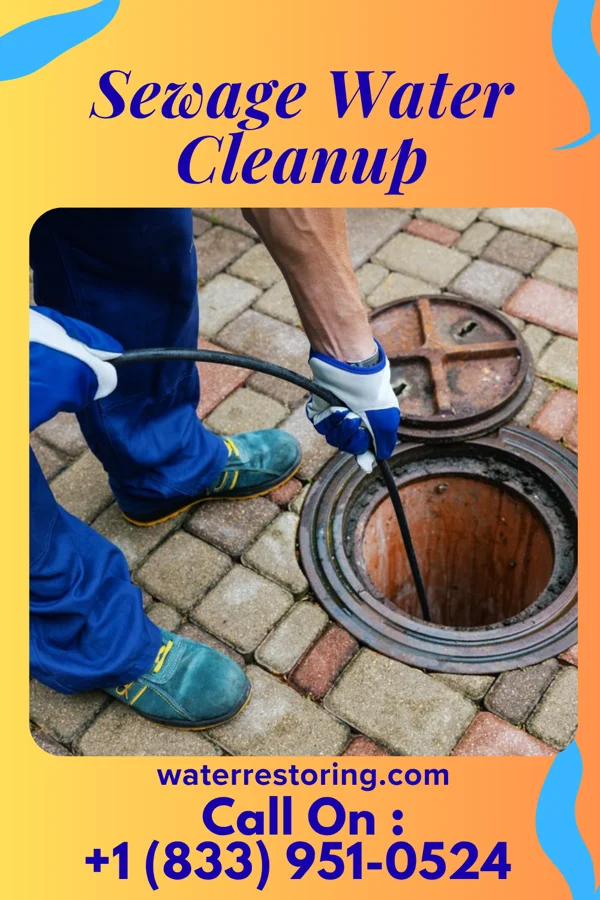 Sewage Water Cleanup in Wanakah, NY